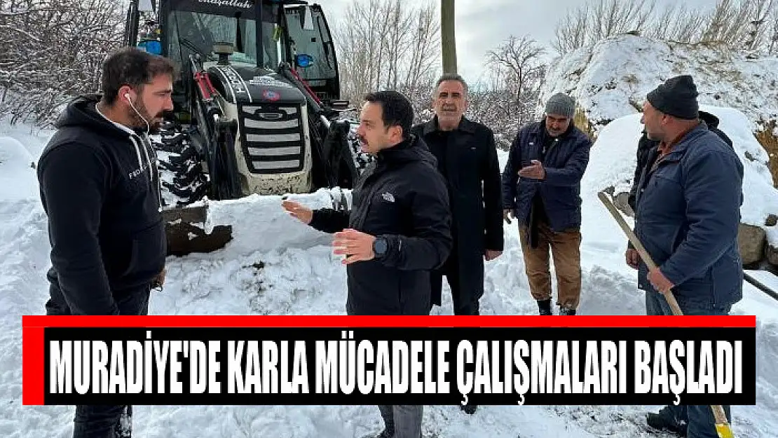 Muradiye'de karla mücadele çalışmaları başladı