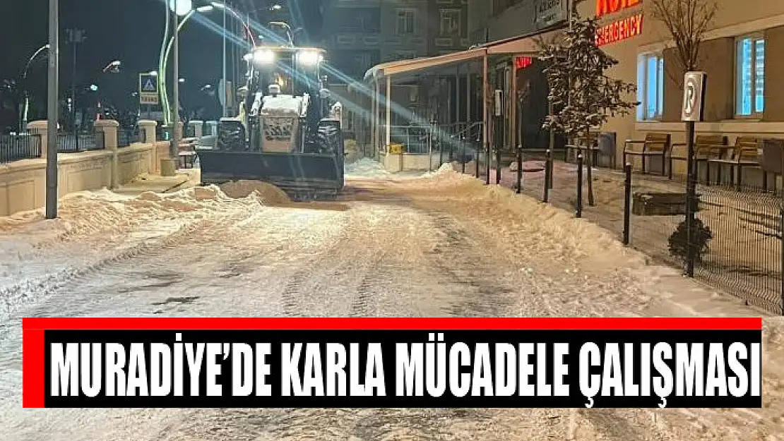 Muradiye'de karla mücadele çalışması