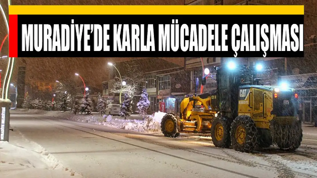 Muradiye'de karla mücadele çalışması