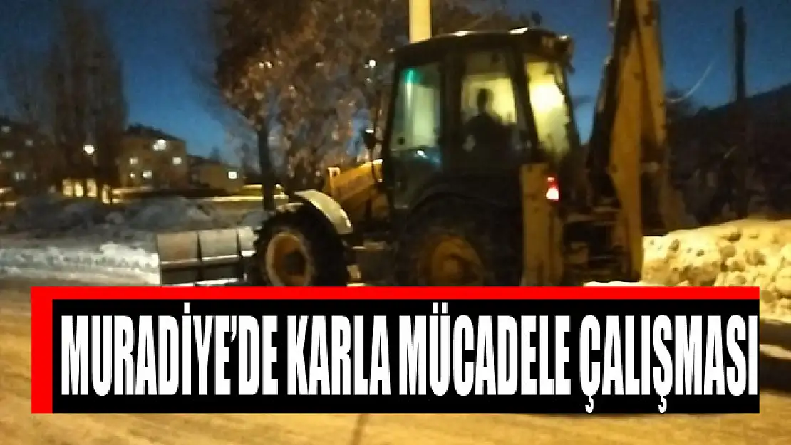 Muradiye'de karla mücadele çalışması