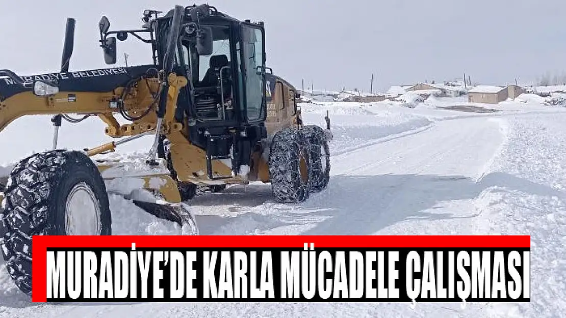 Muradiye'de karla mücadele çalışması