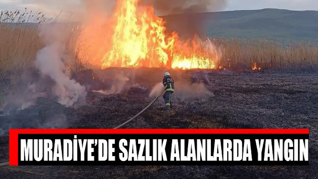 Muradiye'de sazlık alanlarda yangın