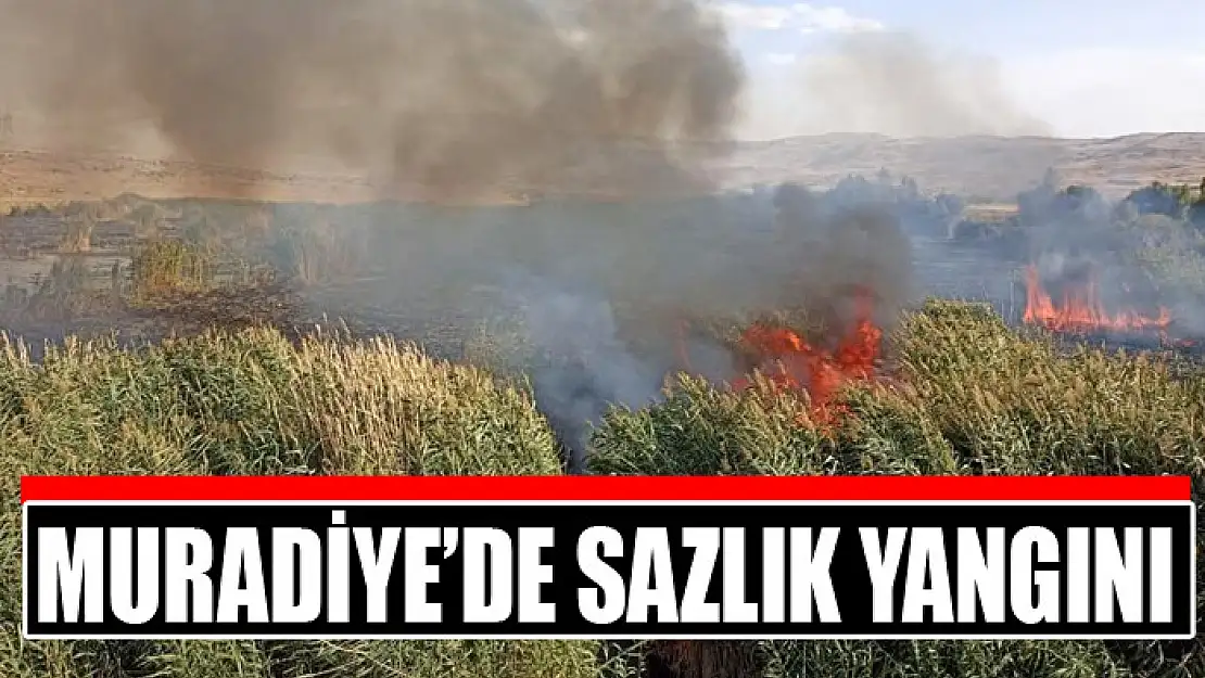 Muradiye'de sazlık yangını