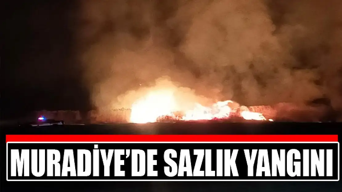 Muradiye'de sazlık yangını