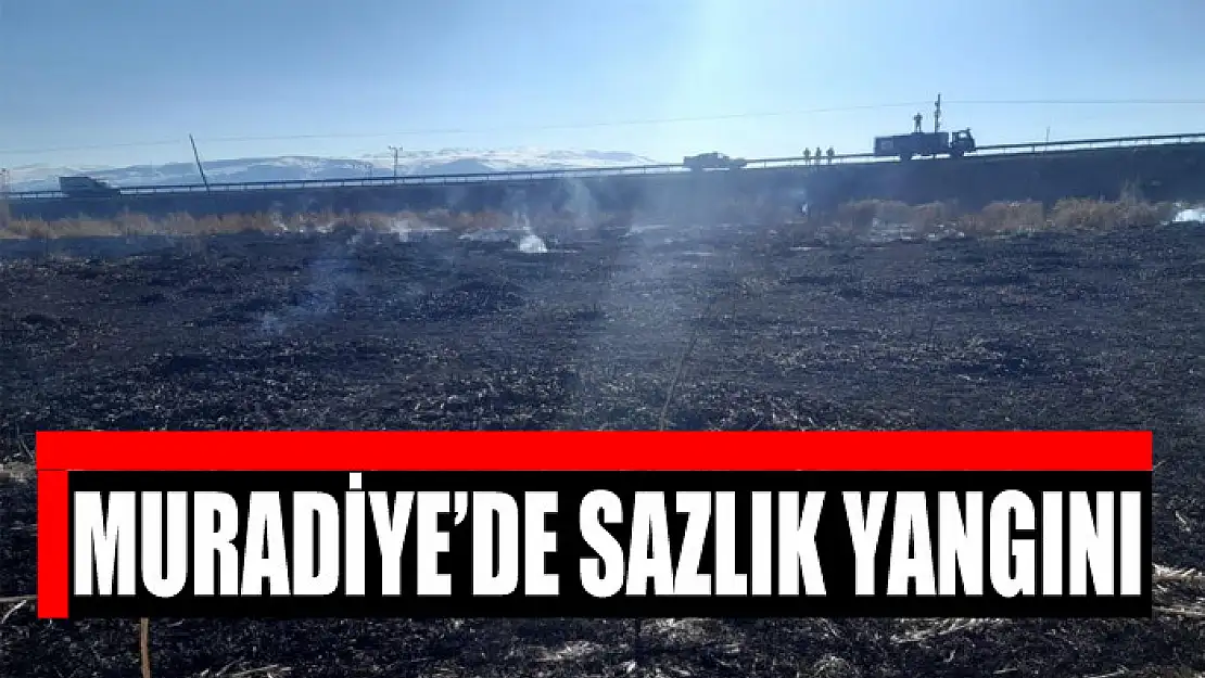 Muradiye'de sazlık yangını