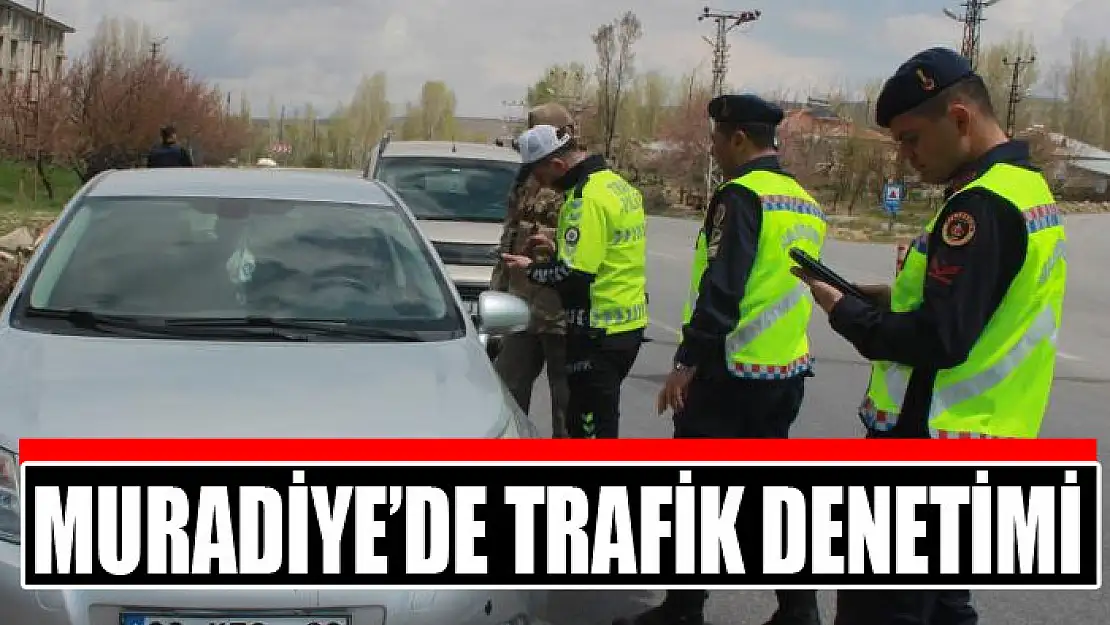 Muradiye'de trafik denetimi