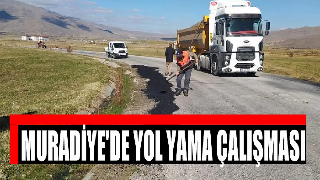 Muradiye'de yol yama çalışması