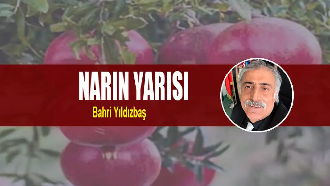 NARIN YARISI