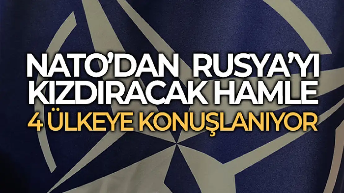 NATO'nun 4 ülkeye ek savaş grupları konuşlandırması bekleniyor