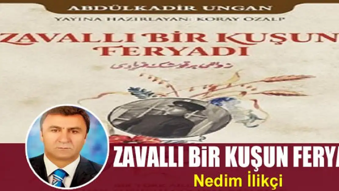 Zavallı bir  kuşun feryadı