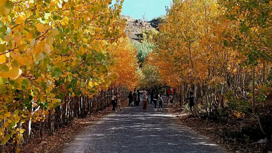 Nemrut Kalderası'nda sonbahar güzelliği