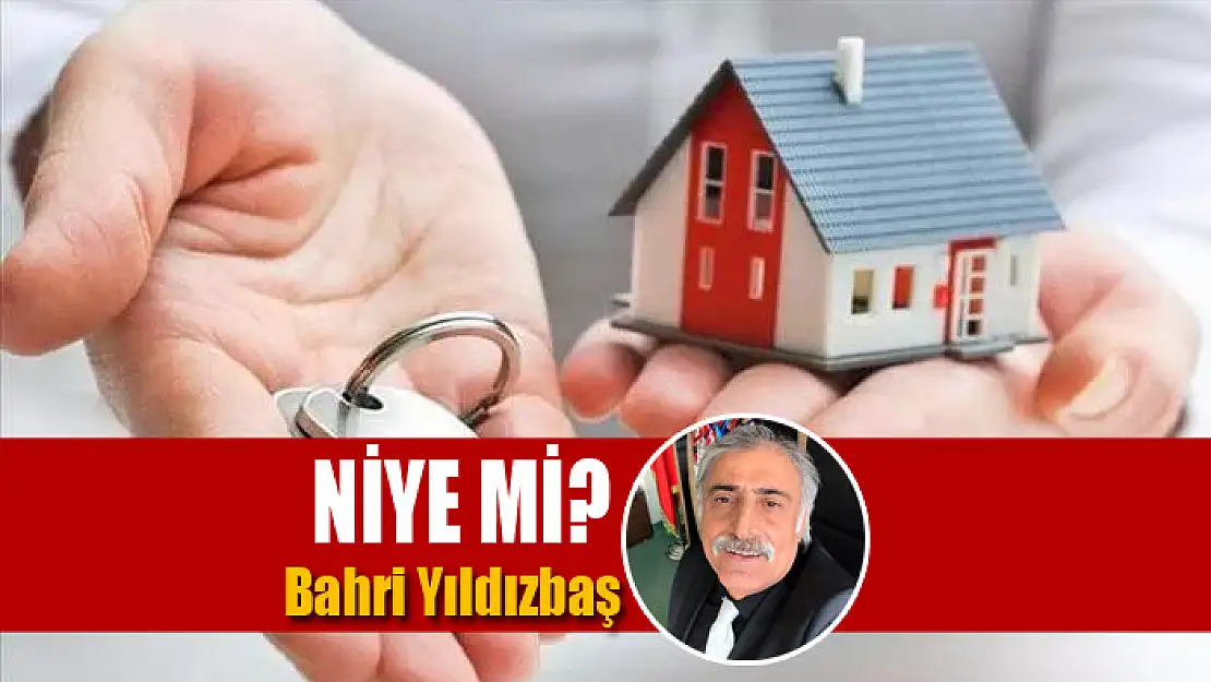 NİYE Mİ?