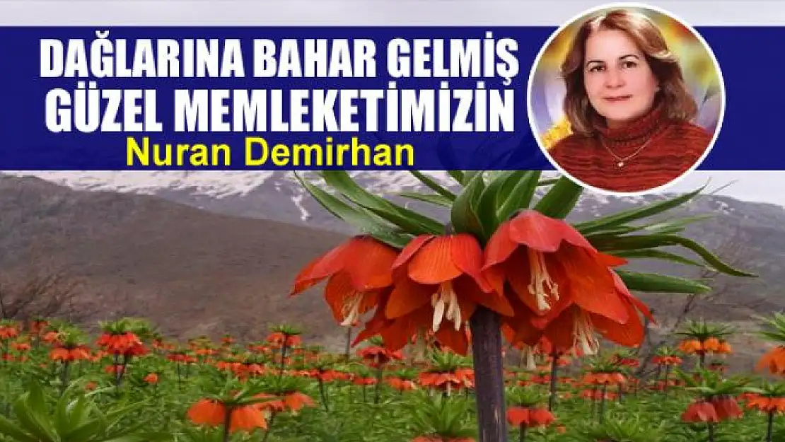 Dağlarına bahar gelmiş güzel memleketimizin