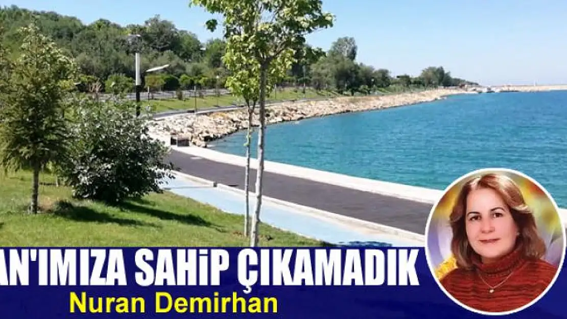 Van'ımıza sahip çıkamadık