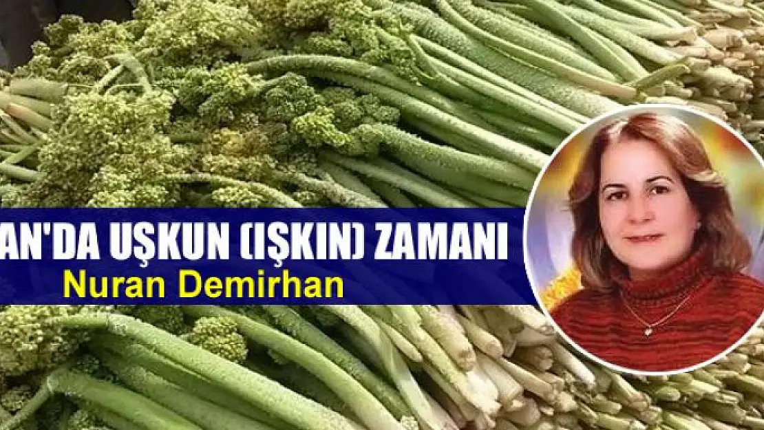 Van'da uşkun (ışkın) zamanı