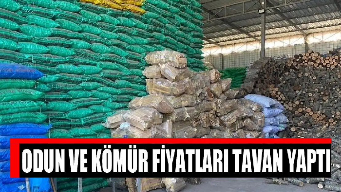 Odun ve kömür fiyatları tavan yaptı