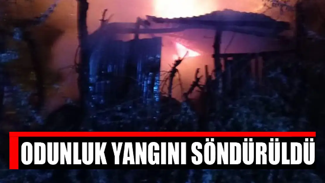 Odunluk yangını söndürüldü