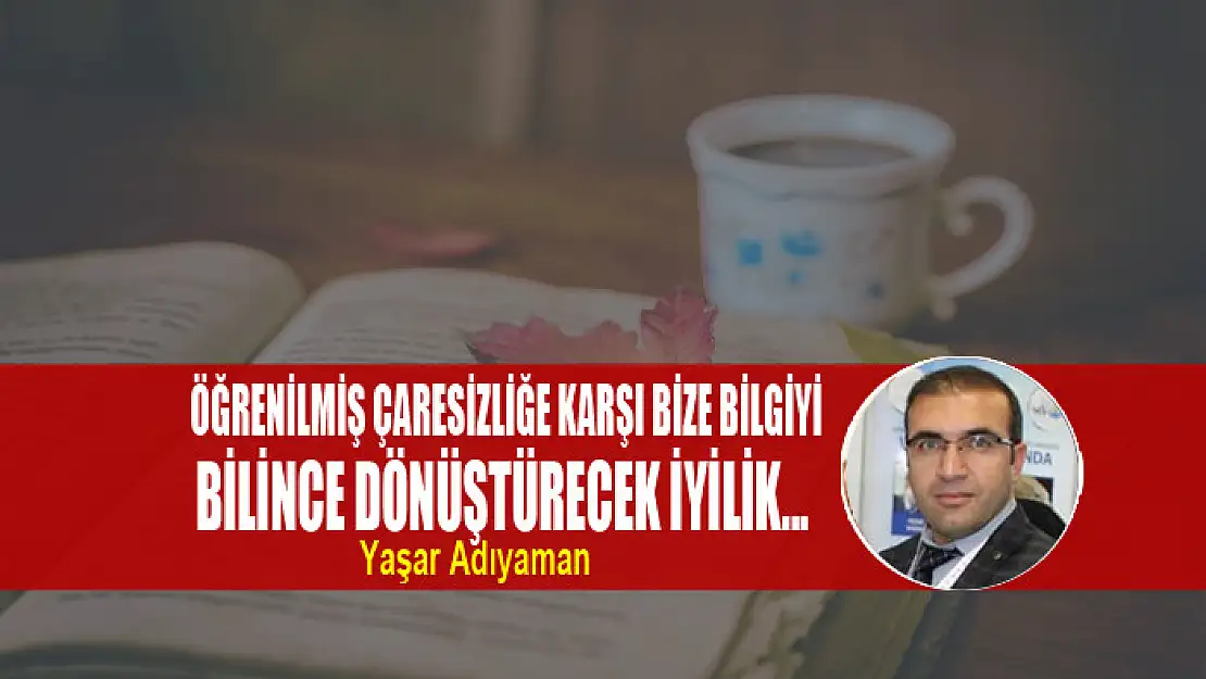 Öğrenilmiş Çaresizliğe Karşı Bize Bilgiyi Bilince Dönüştürecek İyilik...