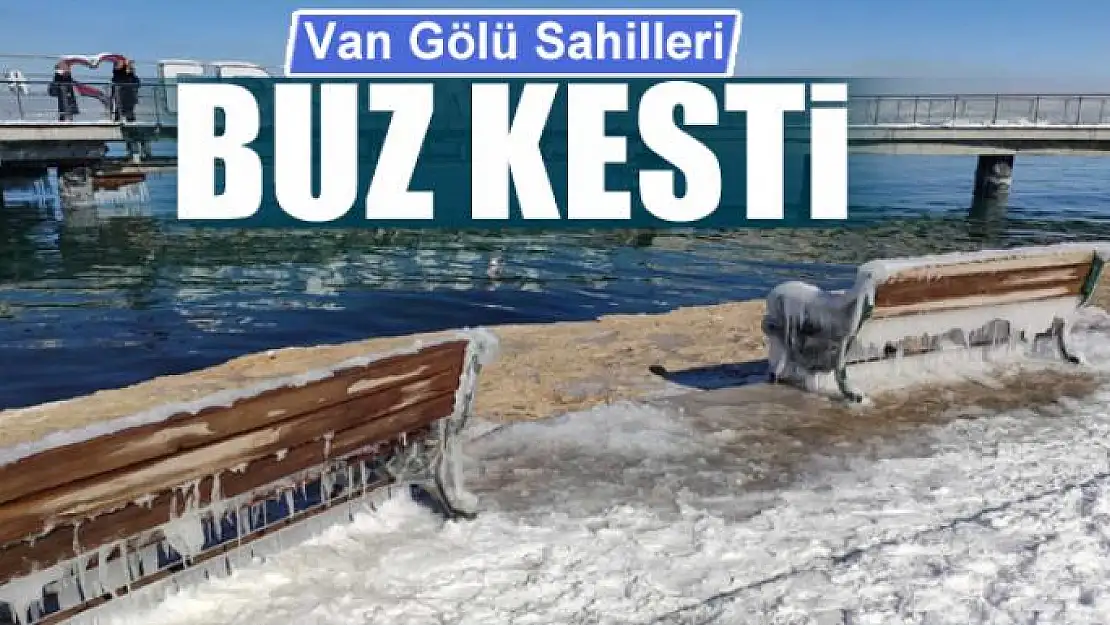 Van Gölü sahilleri buz kesti