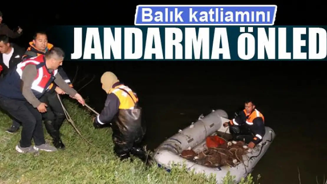 Balık katliamını Jandarma önledi 