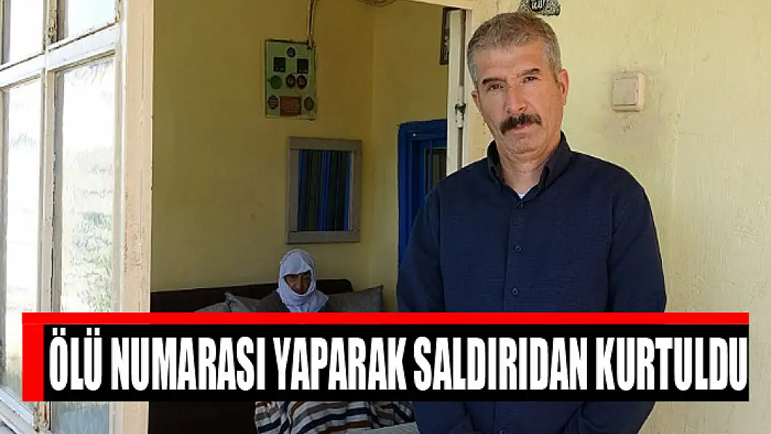 Ölü numarası yaparak saldırıdan kurtuldu