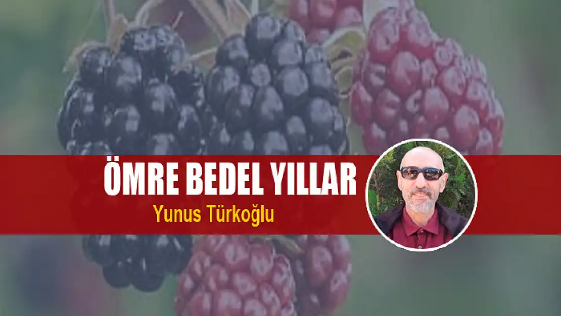 Ömre Bedel Yıllar