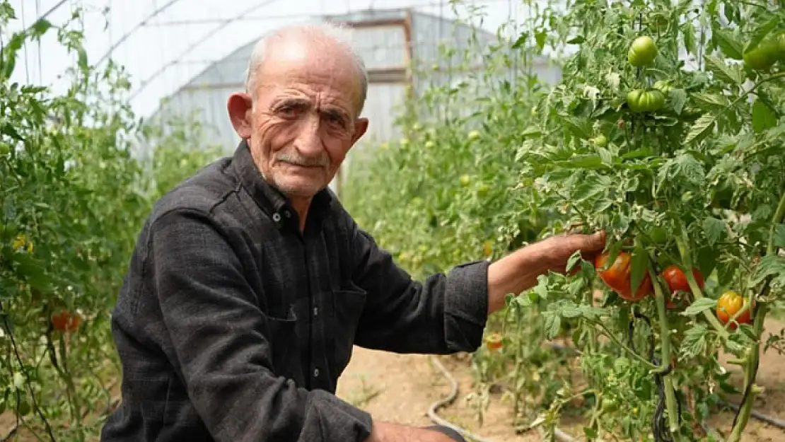 Ömrünü organik tarıma adadı