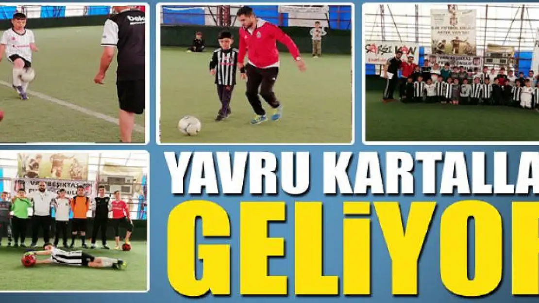 YAVRU KARTALLAR GELİYOR