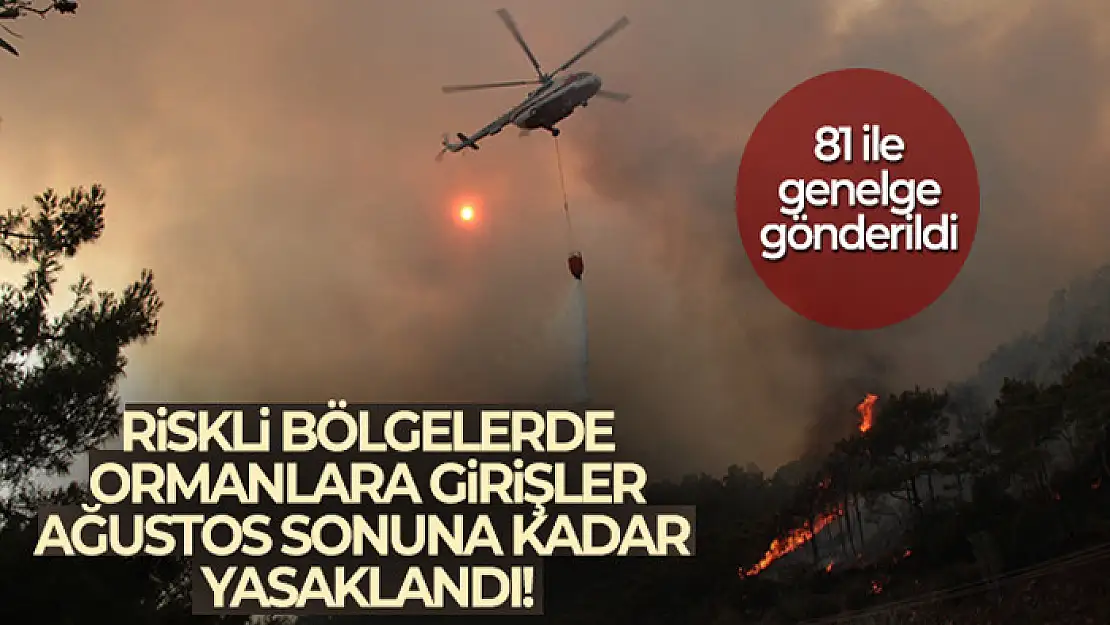 Orman yangını için riskli bölgelere girişler 31 Ağustos'a kadar yasaklandı