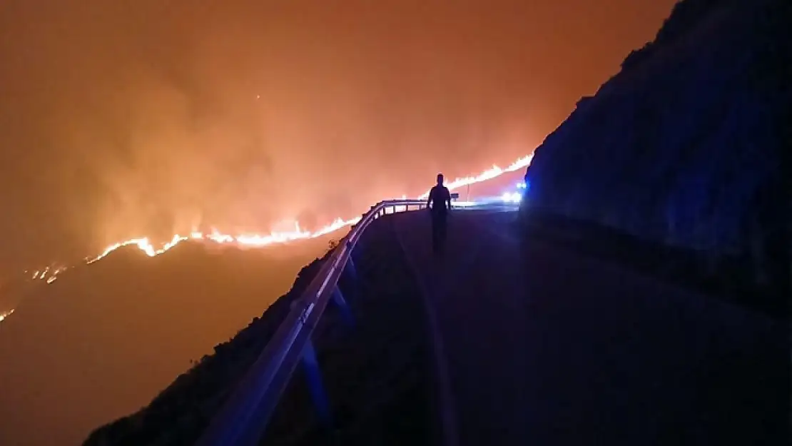 Orman yangınında 7 kişi hayatını kaybetti