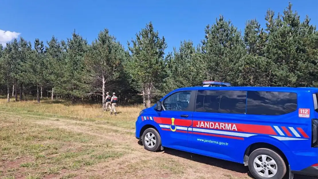 Ormanlık alanlarda denetimler sıklaştırıldı