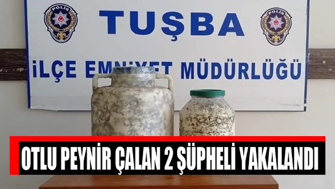 Otlu peynir çalan 2 şüpheli yakalandı