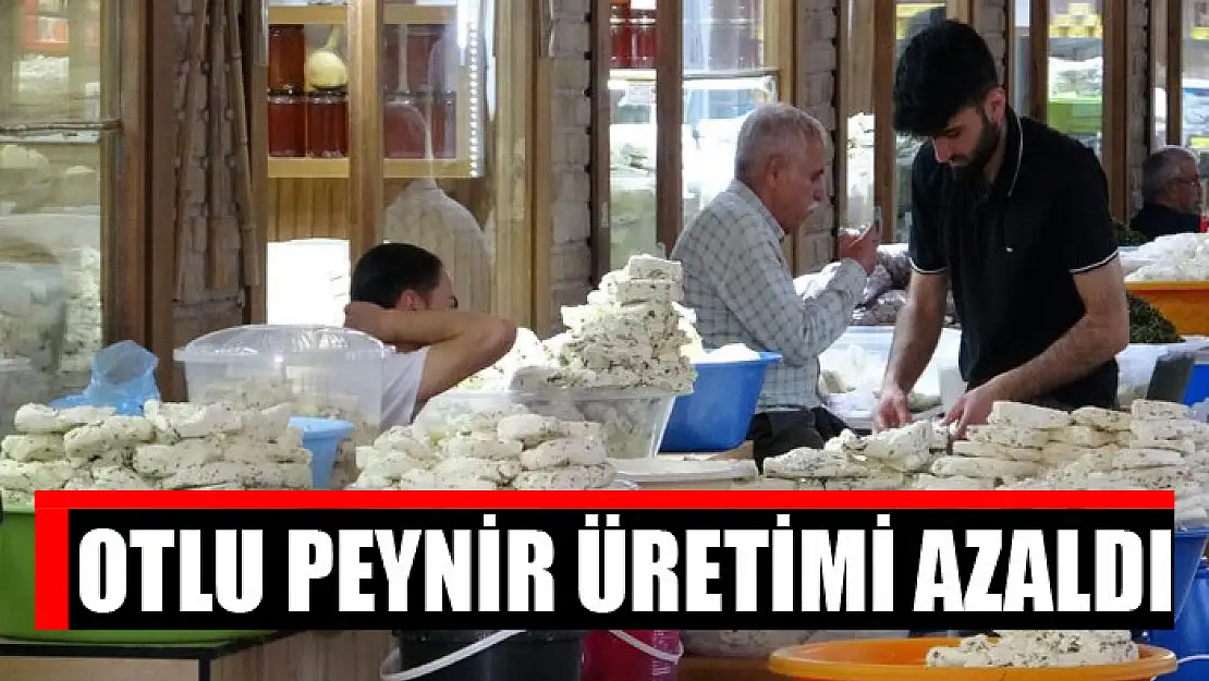 Otlu peynir üretimi azaldı