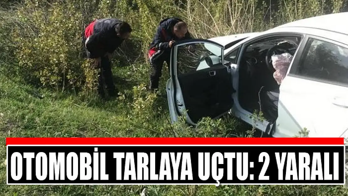 Otomobil tarlaya uçtu: 2 yaralı