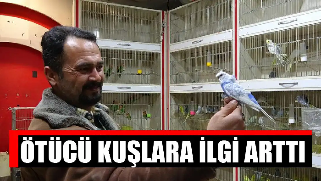 Ötücü kuşlara ilgi arttı