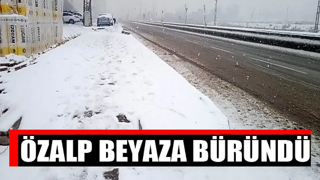 Özalp beyaza büründü