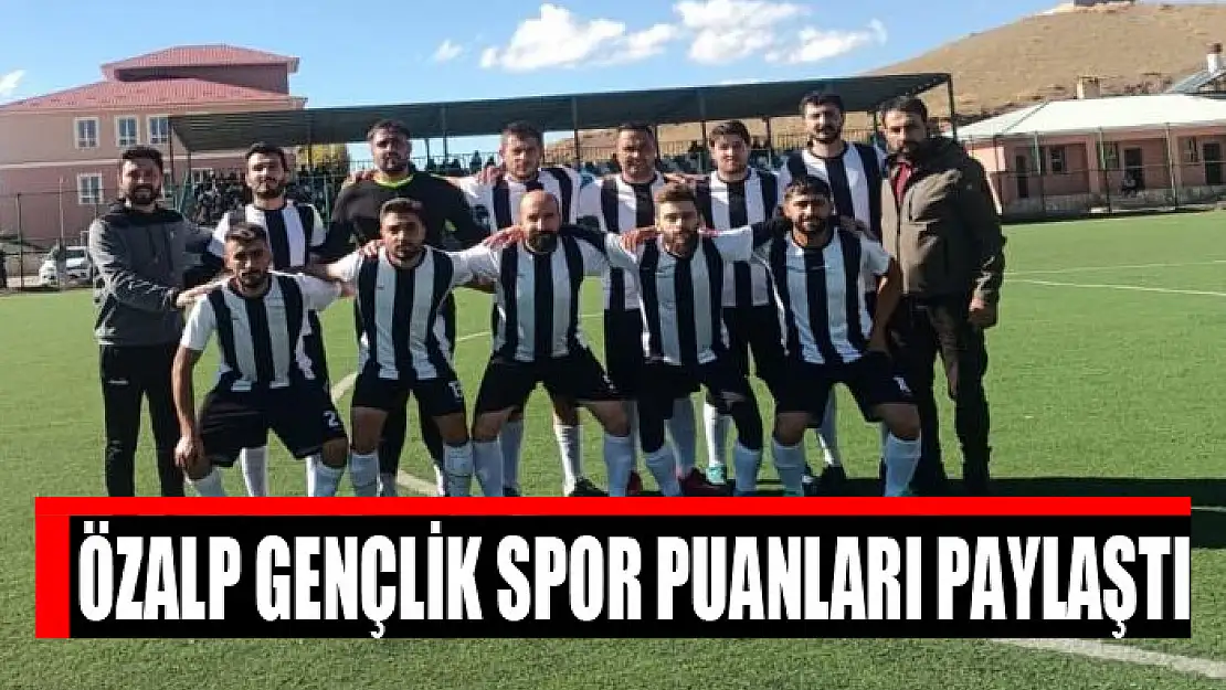 Özalp Gençlik Spor puanları paylaştı