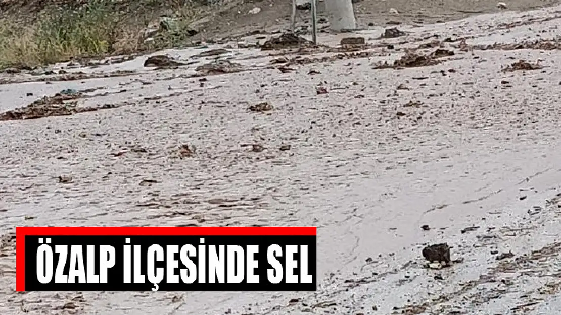 Özalp ilçesinde sel