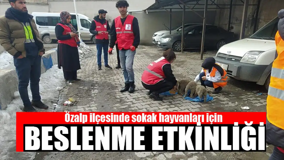 Özalp ilçesinde sokak hayvanları için beslenme etkinliği