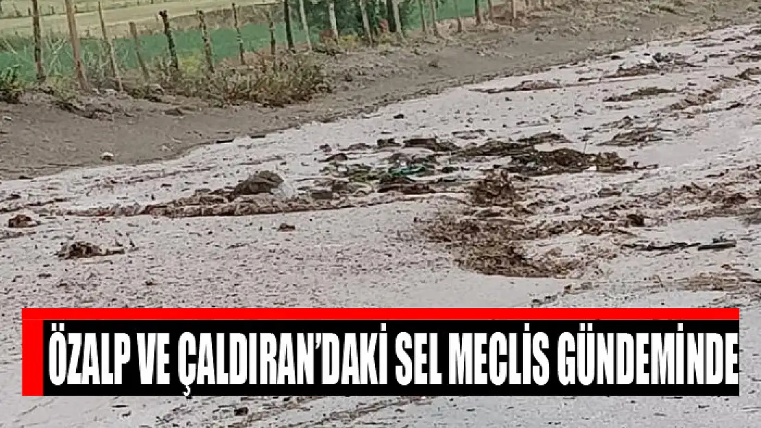 Özalp ve Çaldıran'daki sel Meclis gündeminde