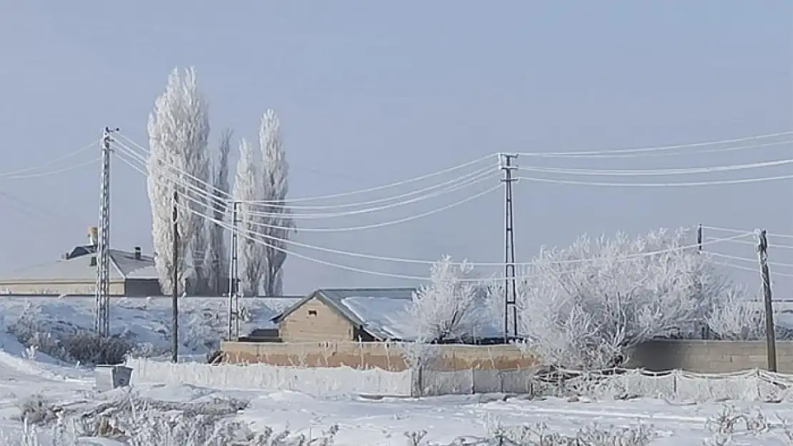 Özalp ve Saray buz kesti, ağaçlar kırağı tuttu