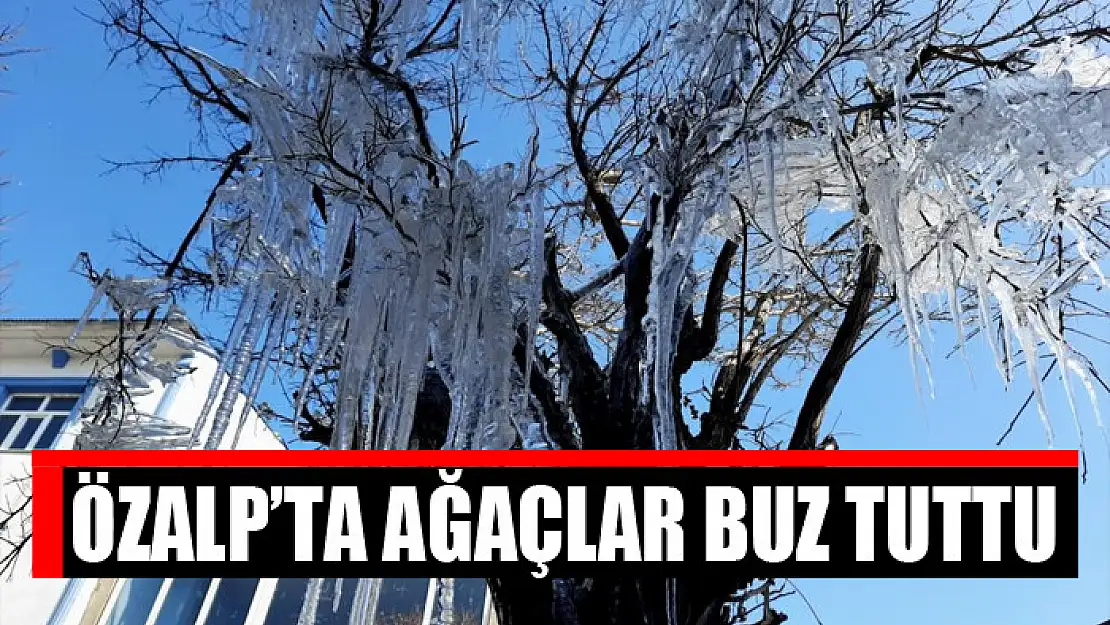 Özalp'ta ağaçlar buz tuttu