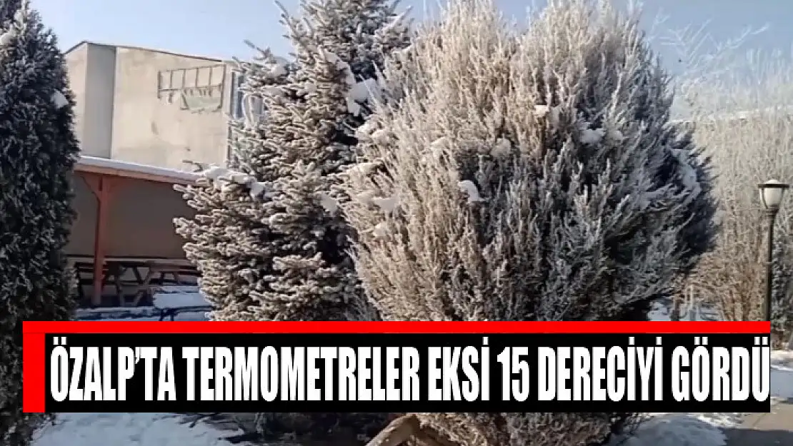 Özalp'ta termometreler eksi 15 dereciyi gördü