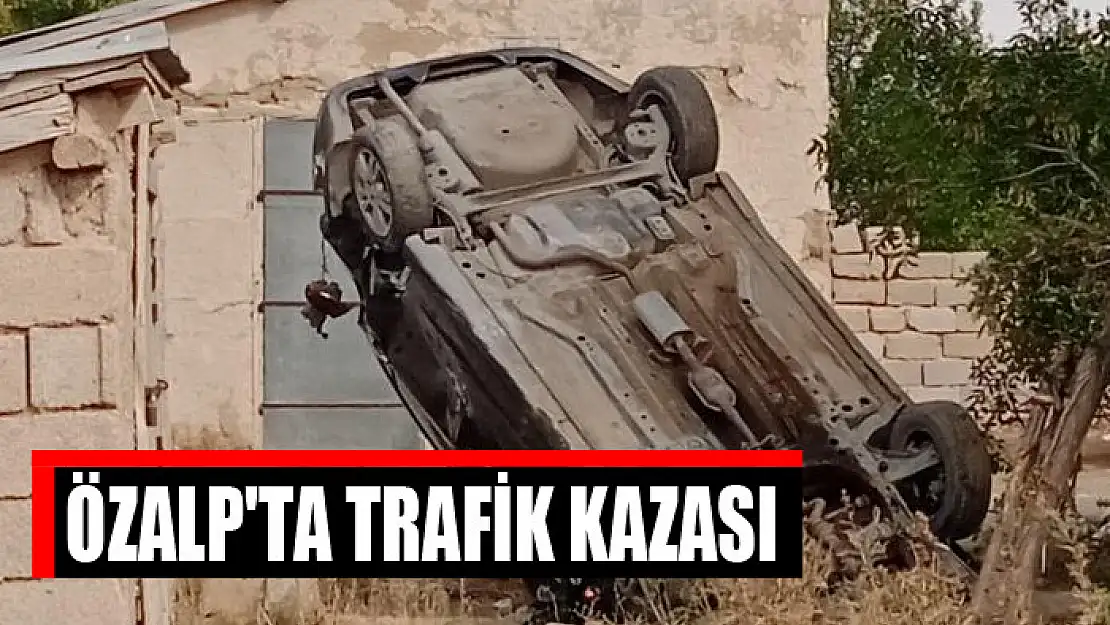 Özalp'ta trafik kazası