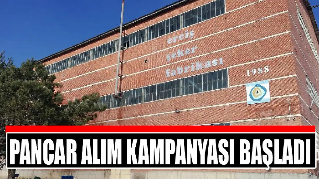 Pancar alım kampanyası başladı