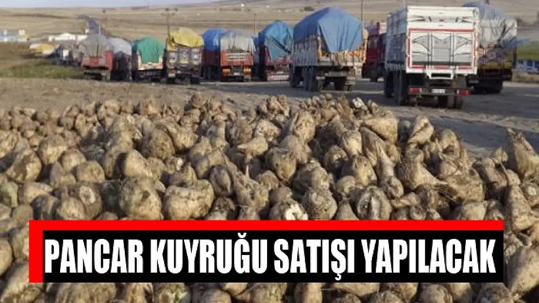 Pancar kuyruğu satışı yapılacak