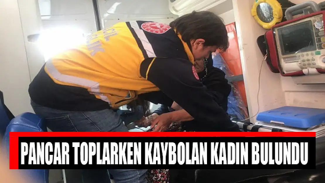 Pancar toplarken kaybolan kadın bulundu