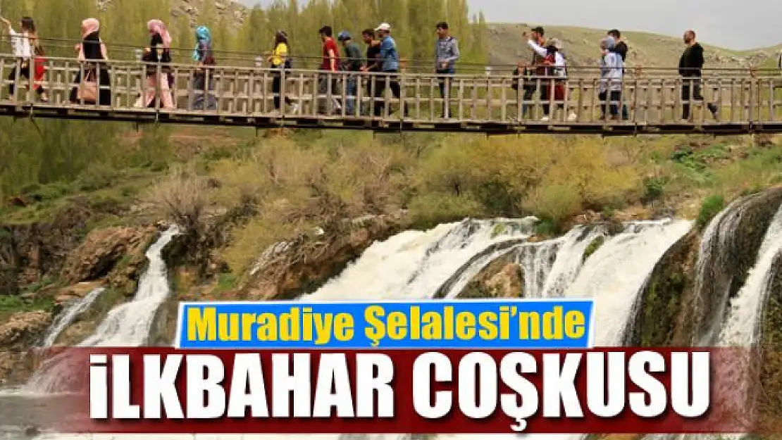 Muradiye Şelalesi'nde ilkbahar coşkusu