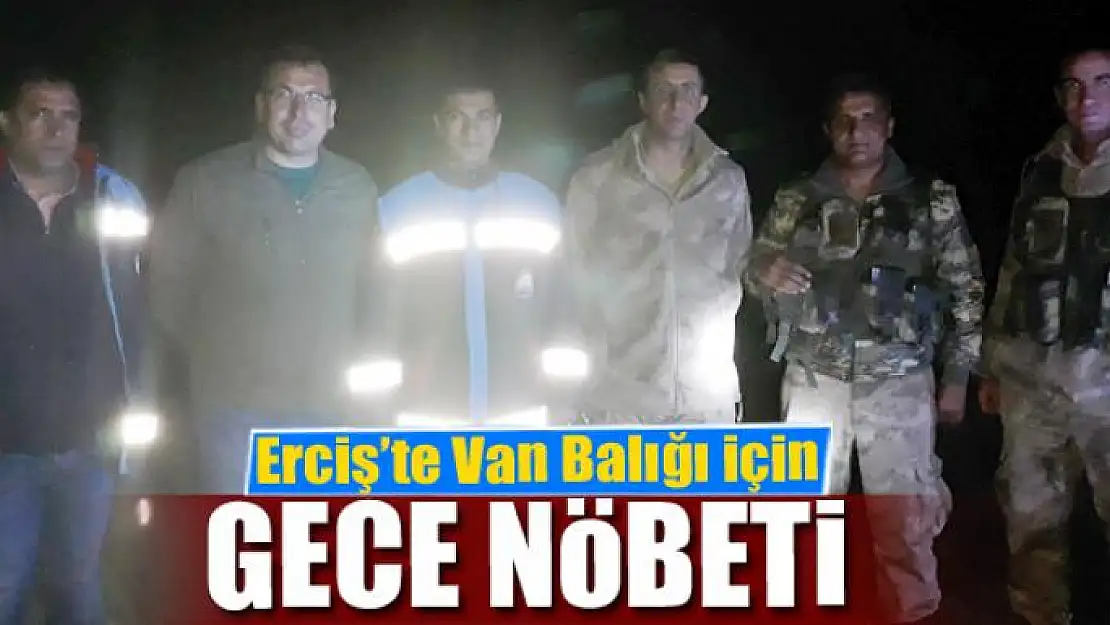 Erciş'te Van Balığı için gece nöbeti 