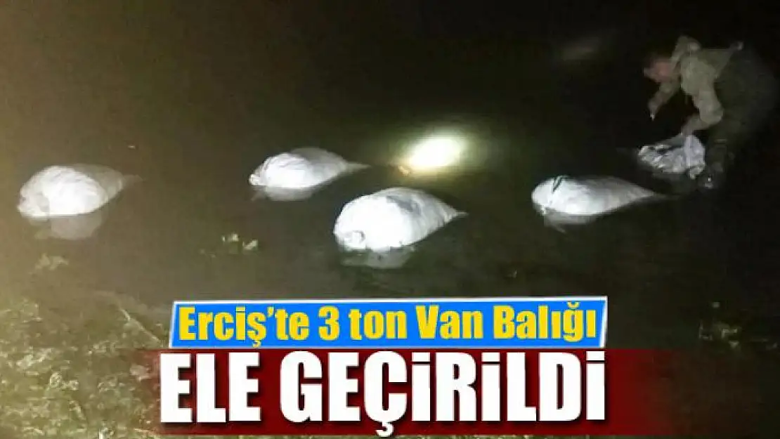 Erciş'te 3 ton Van Balığı ele geçirildi 